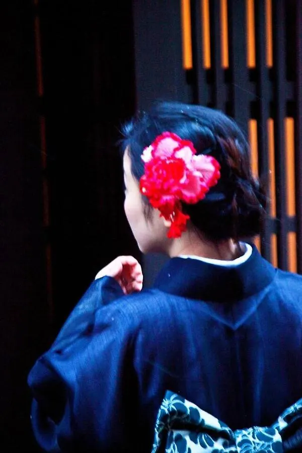 Yamagata Kyomachi Hatago Gojo Nishinotoin Kyoto 0*,